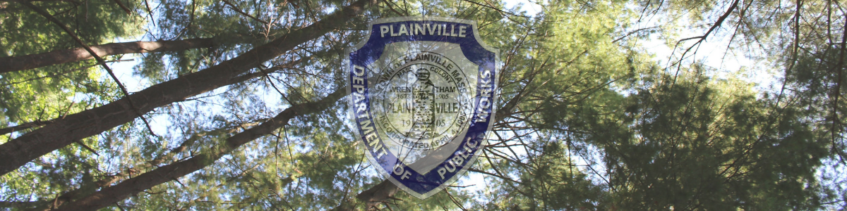 Tree Management Program