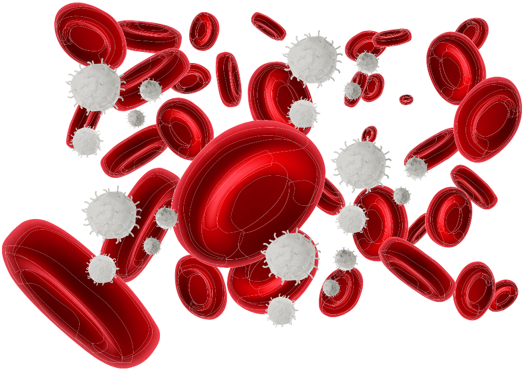 Image of PFAS Bioaccumultion
