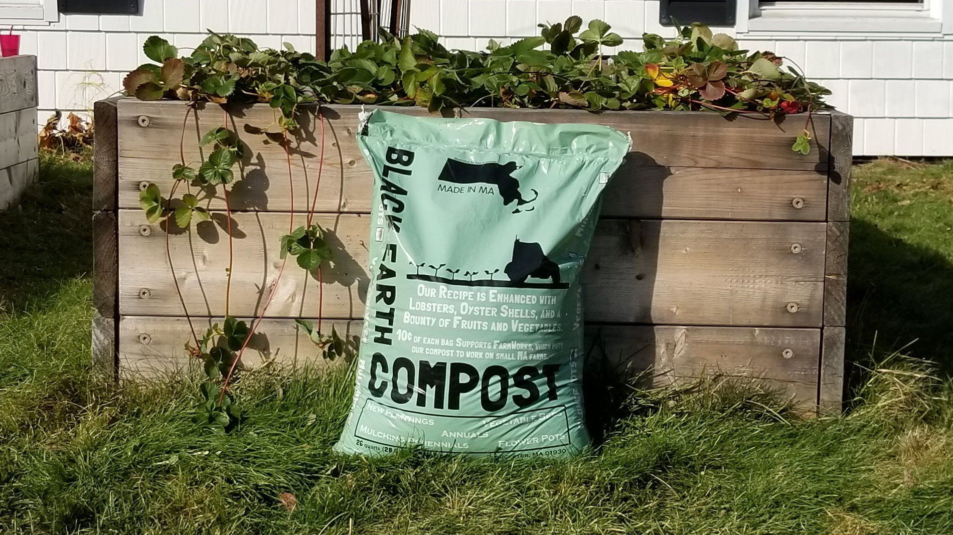 Black Earth Compost Image
