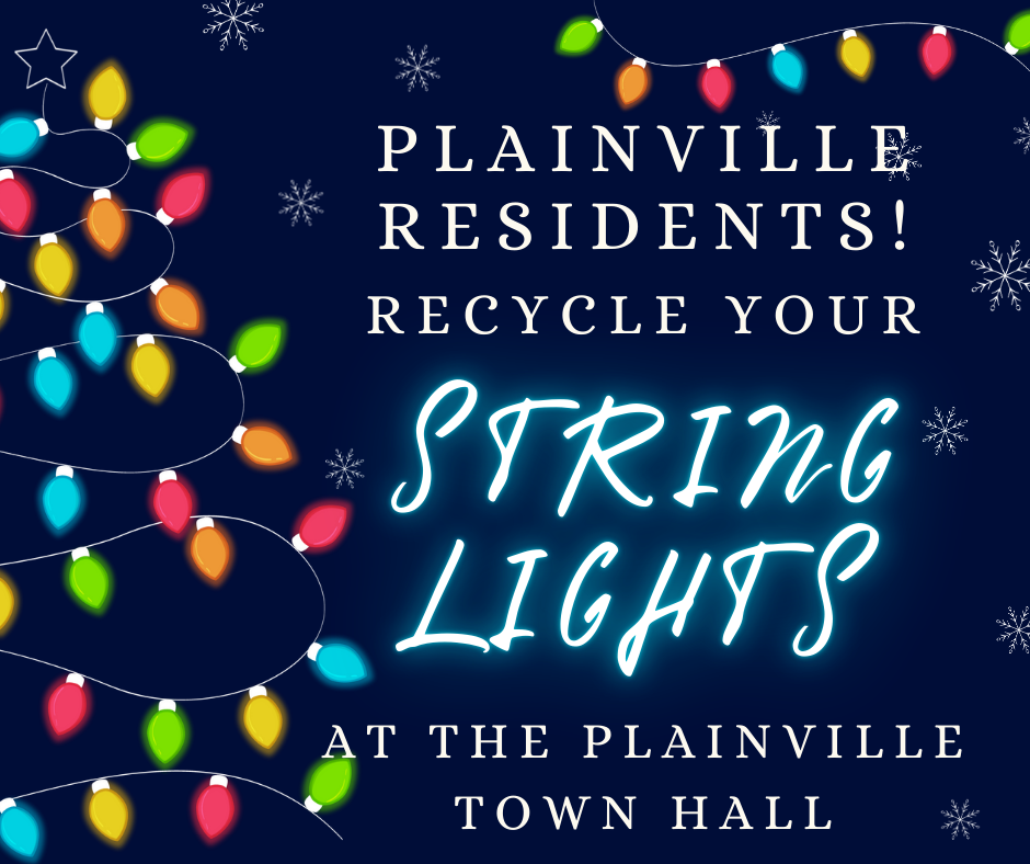 Recycle String Lights